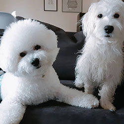 ペットの様子２