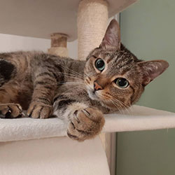 ペットの様子４